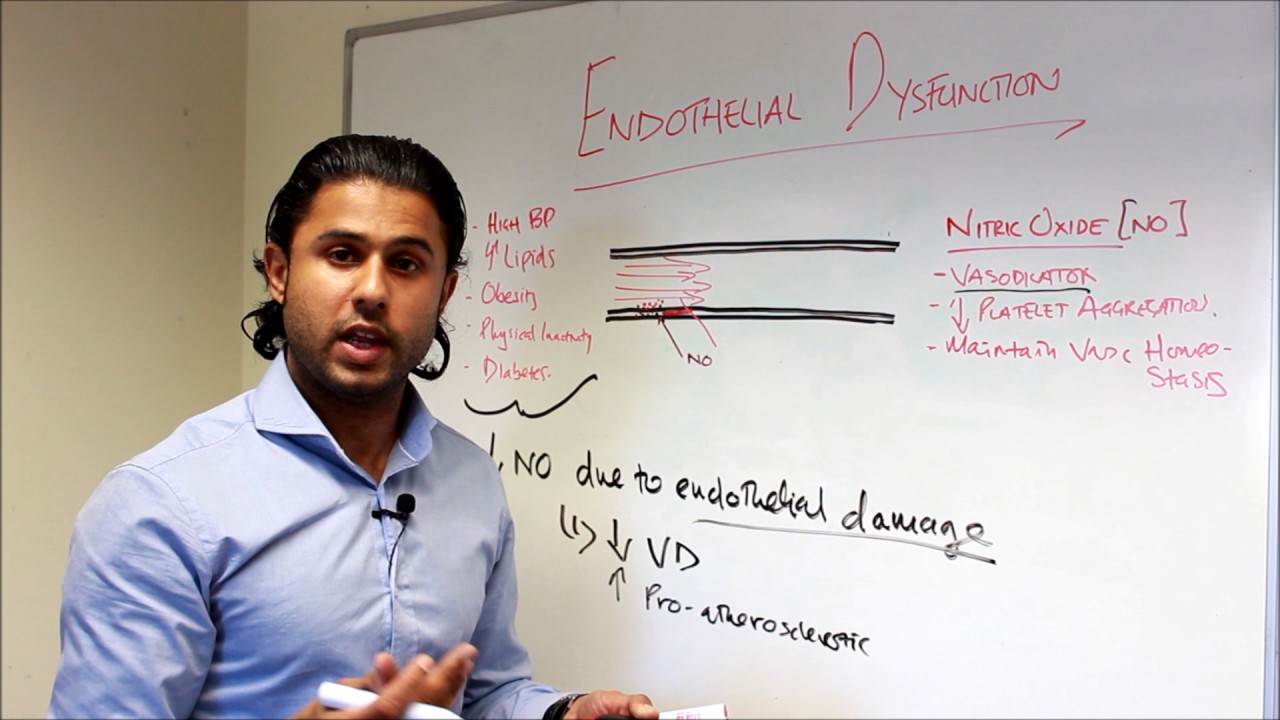 Part II - Nitric Oxide and Shear Stress - YouTube