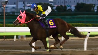 【現地映像】第46回 東京2歳優駿牝馬(SI)