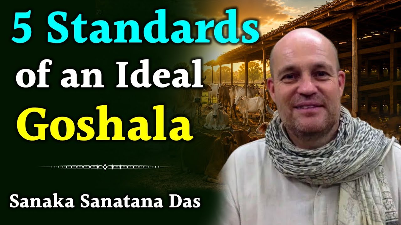 What Makes a Good Goshala? Recommended Standards of an Ideal Goshala