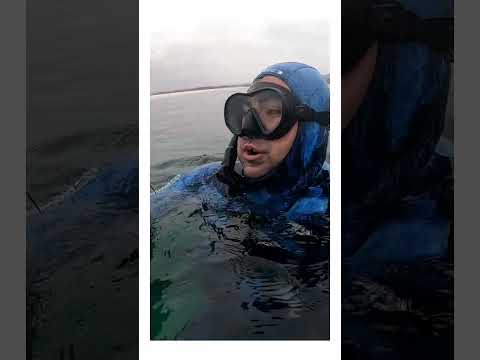 Nuevo video de caza submarina región de atacama, feñasub 7. CAMRIMAR COPIAPO.
