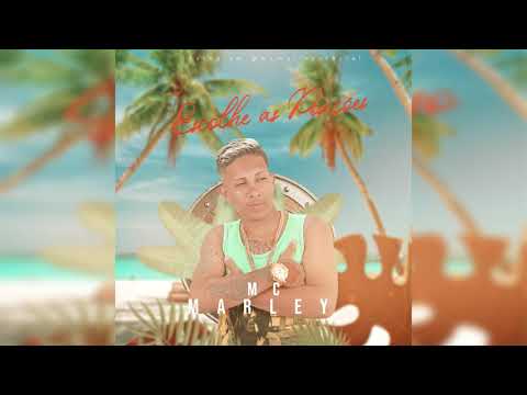 MC MARLEY E MC LARISSA - ESCOLHE AS POSIÇÕES - PRA PAREDÃO 2020