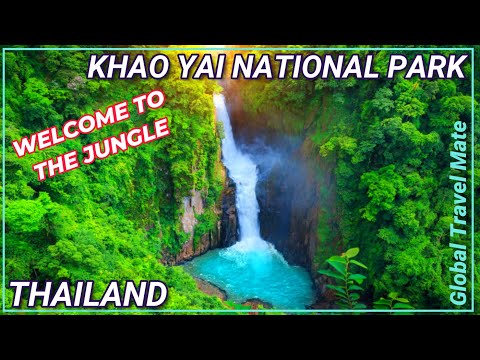 Explore KHAO YAI National Park Wildlife and Waterfalls 🇹🇭 Thailand