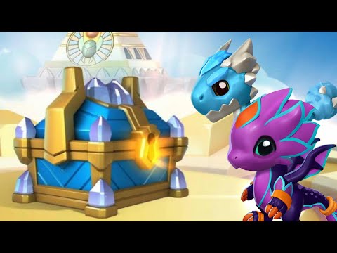 Lumiplant & Glacier Dragons Hatching + DIVINE FEST Grinding Continued! - DML #1574