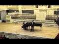 5. Кавалли. Dolce amor, bendato dio. Исп. Д. Имамутдинов ...