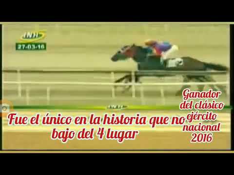 la historia del primer hijo de king seraf.el superfecto en pista...