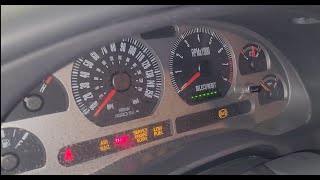 2004 Coyote Mach1 CCRM Buzzing noise