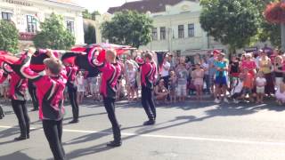 preview picture of video 'Historical Festival in Sárvar, Hungary, 20/07/2013, Jelenetek a Történelmi Fesztivál Sárváron, Vas,'