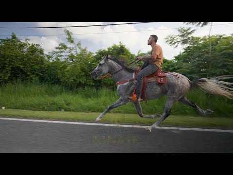 2DA PARTE - RUMBA AMERICANOS