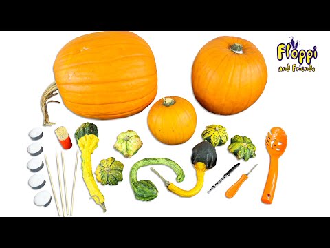 Let's create Animal-shaped Pumpkins for Halloween with Floppi and Friends | Halloween Pumpkins
