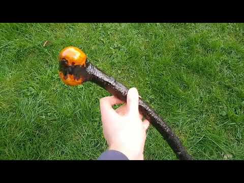 Shillelagh cudgel (link in description is to this one) & smash test -SOLD