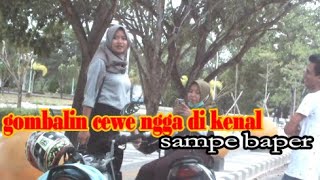 Download lagu GOMBALIN CEWE BANJAR SAMPE BAPER, full bahasa banjar mp3 Download lagu GOMBALIN CEWE BANJAR SAMPE BAPER, full bahasa banjar mp3