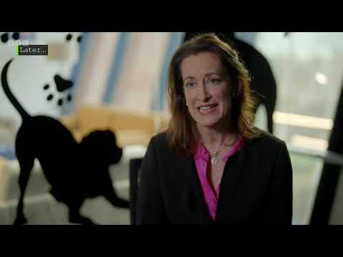 Claimed and Shamed S15E13 | Fake Holiday, Crash Con & Pet Insurance Scam Exposed 🕵️‍♂️🚨