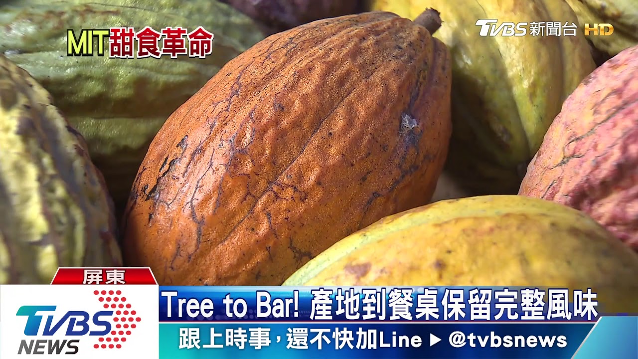 世界冠軍在台灣! 　直擊一條龍可可製程