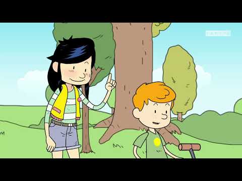 Les formes d'energie