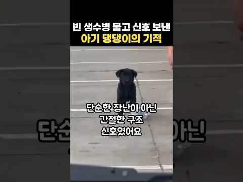 빈 생수병 물고 신호 보낸 아기 댕댕이의 기적