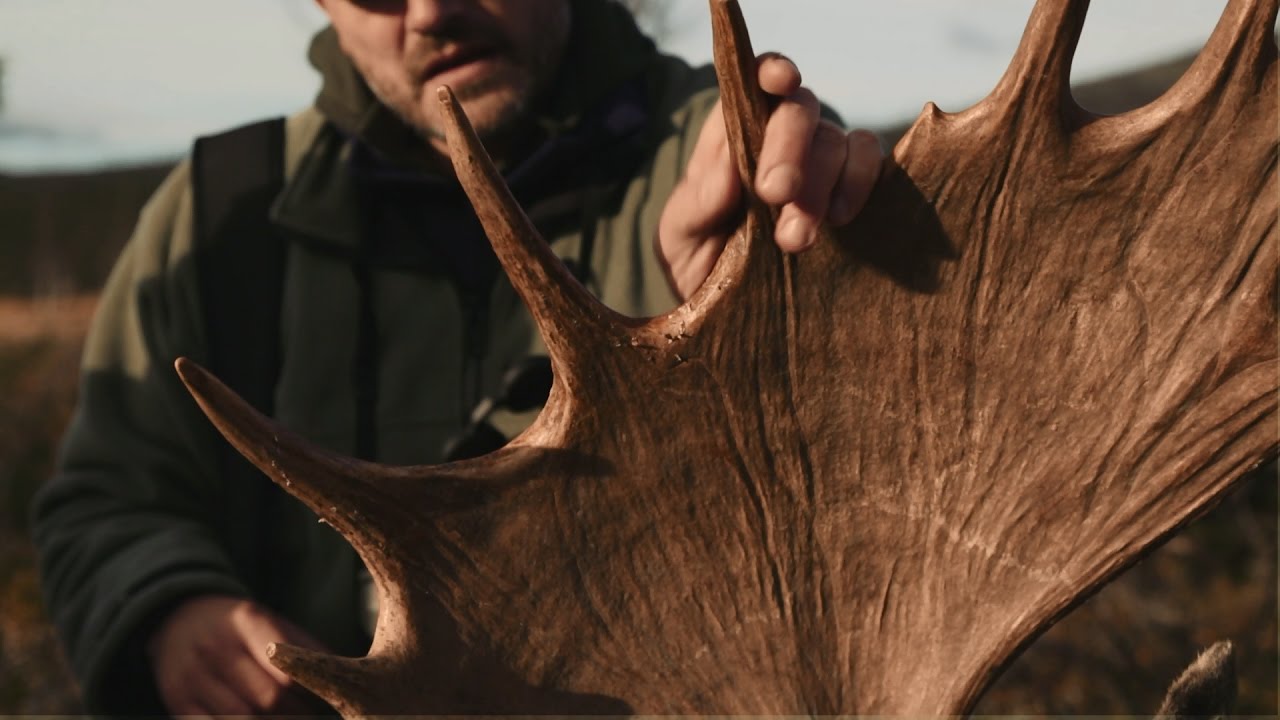 In the middle of nowhere