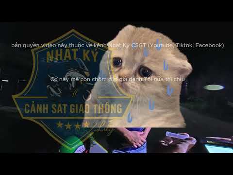 Nhật ký CSGT | Tập Tổng hợp  P3