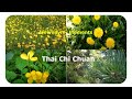 🌿💮🌺🌼 Llewellyn - Elements (Tai Chi Chuan) - Taijiquan Relaxing Nature Scenes - Тай Чи - Тайцзицюань