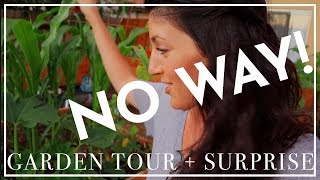 Garden Tour + Whole 30 Chicken Fajitas