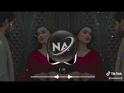 ab naam mohabbat ke ilzaam to aaya hai