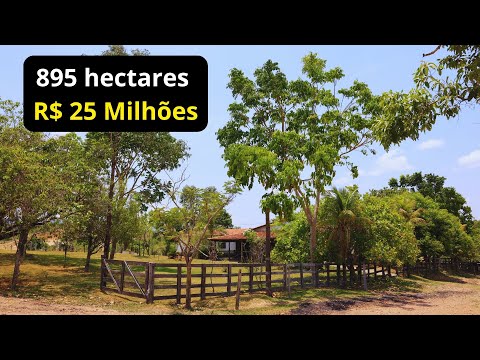 Fazenda com 895 Ha em Guarinos GO/ Cria, Recria e Engorda no Vale do São Patrício  R$ 25 Milhões