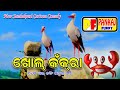 ଖୋଲ୍ କଁକରା New Sambalpuri Dubbe Video