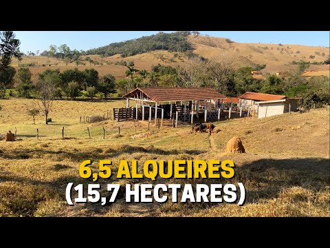 SÍTIO DE 6,5 ALQUEIRES À VENDA EM PRATÁPOLIS - MG VALOR: 100 MIL O ALQUEIRE