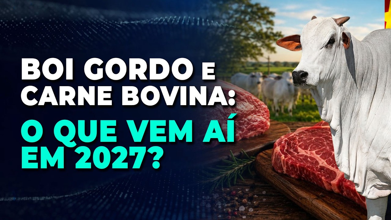 BOI GORDO E CARNE BOVINA: O QUE VEM AI EM 2027?