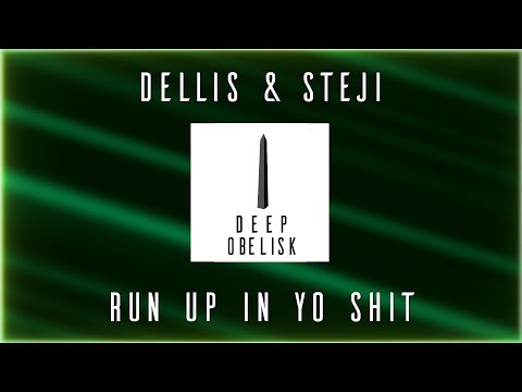 Dellis x Steji - Run Up In Yo Shit