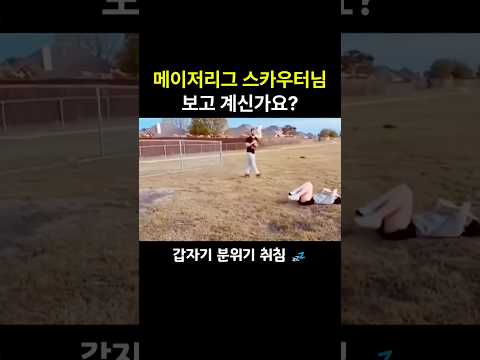 메이저리그 스카우터님 보고 계신가요
