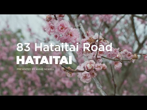 83 Hataitai Road, Hataitai - Wellington (Annie Newell)