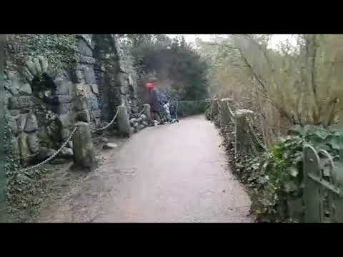 2020.2.6 chiswick,west London