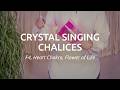 Meinl Sonic Energy CSC6FPFOL Crystal Singing Chalice 6" thumbnail 5