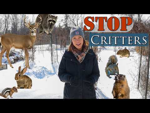 Keep Animals out of the Garden