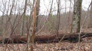 preview picture of video 'Appalachian Trail Gooch Gap, GA 2 23 10'