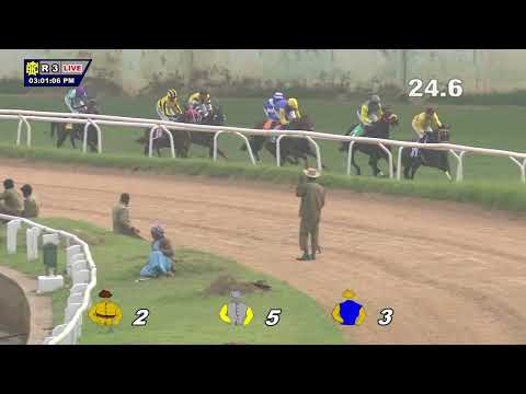 EMERALDO: THE AMAZING GRACE STAKES(61)