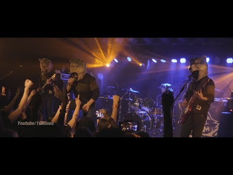 MAN WITH A MISSION (live) "Dog Days" @Berlin June 24, 2017