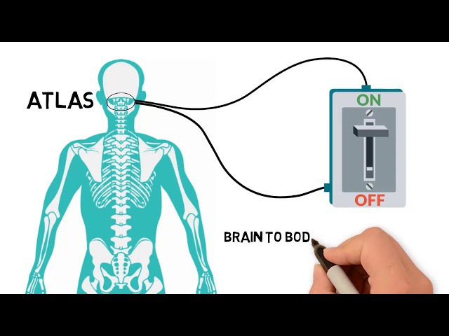 Upper Cervical Care at Odessa Upper Cervical Chiropractic Center