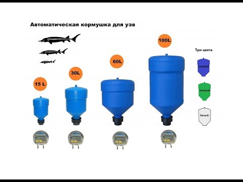 Автоматическая кормушка для кормления рыб в УЗВ