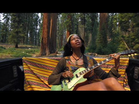 Deep Wood Melodies - Healing Guitar Music - Surrender to the Present Moment