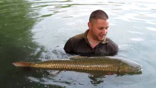 preview picture of video 'Dreamlake france 2009 stuart andrews 39lb grass carp'