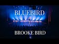 Bluebird Ballet Burlesque Act By Brooke Bird