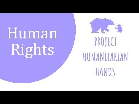 Law webinar: Human Rights