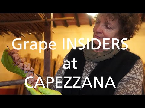 INSIDERS de uva: Vin Santo em Capezzana com Benedetta