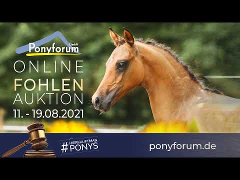 CAVALUNA SF v. FS Numero Uno / FS Daddy Cool