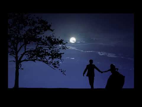 VANKO I IRINA FL   Zapazi Vecherta