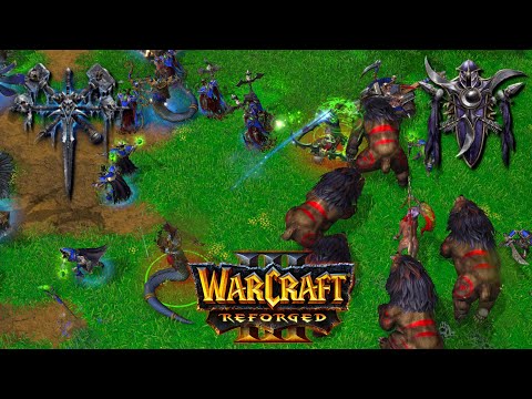 WC3 Check (NE) vs Tbc bm (UD)