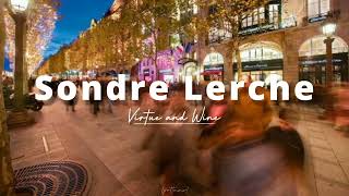 Sondre Lerche - Virtue and Wine (Sub. Español)