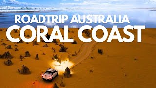 WA Roadtrip: Discover Jurien Bay, Pinnacles, Lucky Bay, Kalbarri, and Pink Hutt Lagoon!