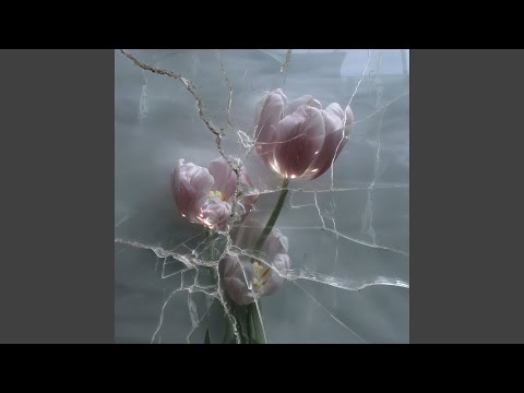 Если бы ты доверил